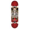 Birdhouse Complete Skateboard Stage 1 TH Icon 8"